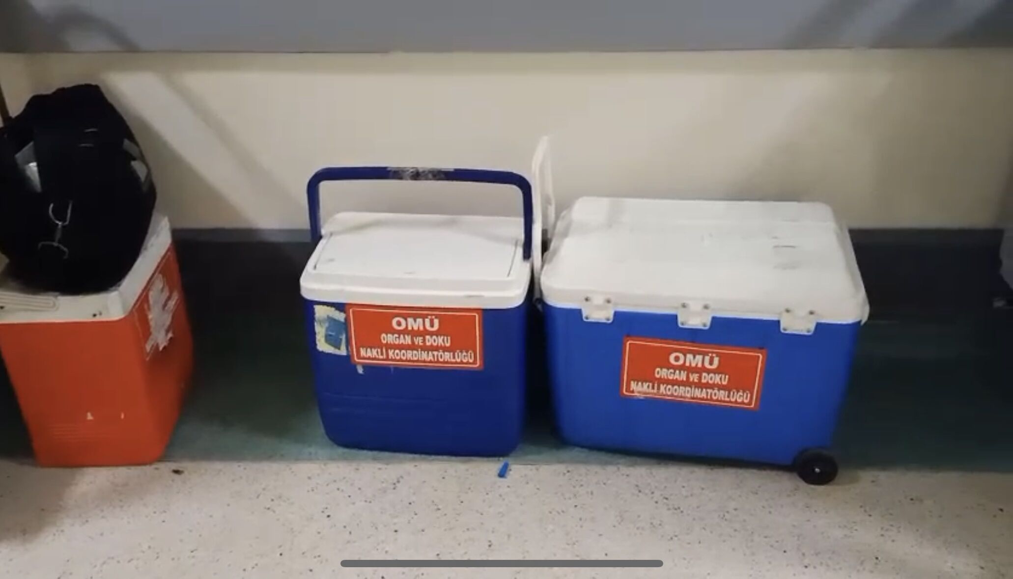 Beyin Ölümü gerçekleşen genç