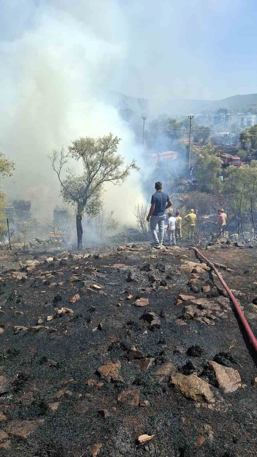 Bodrum’da Otluk Ve Zeytinlik Alanda Yangın 1