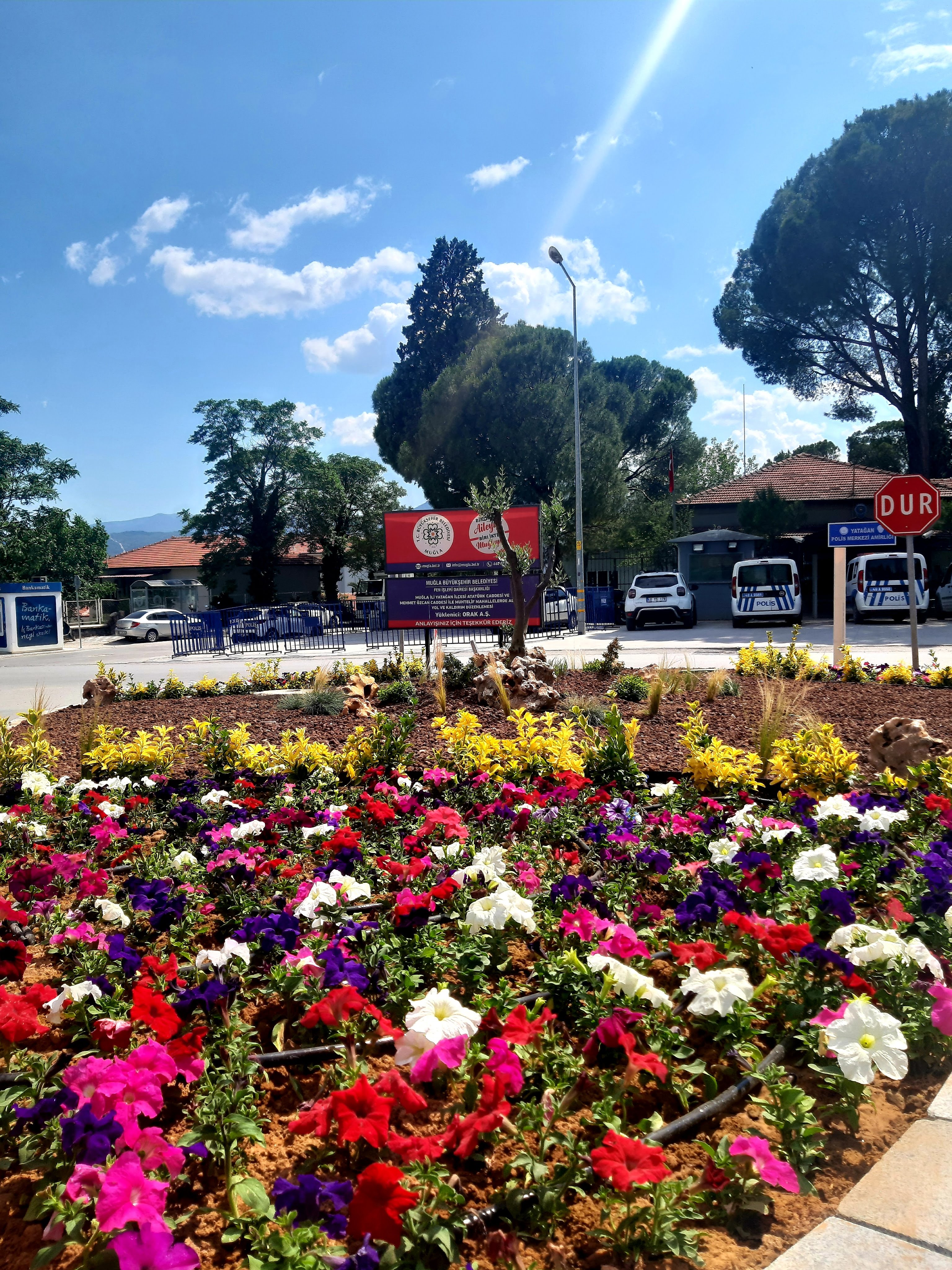 Büyükşehir’den Doğaya Ve Kent Estetiğine Yeşil Dokunuş (4)