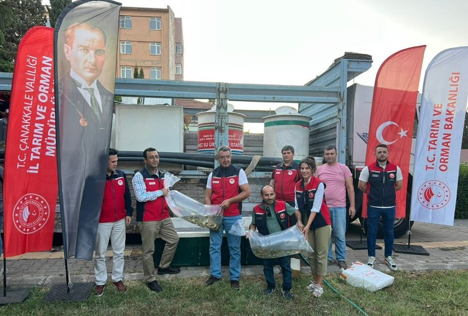 Çanakkale Balık