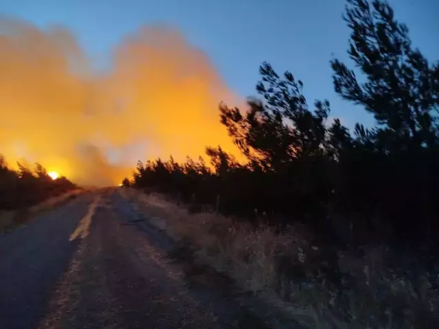 Çanakkele Yangını