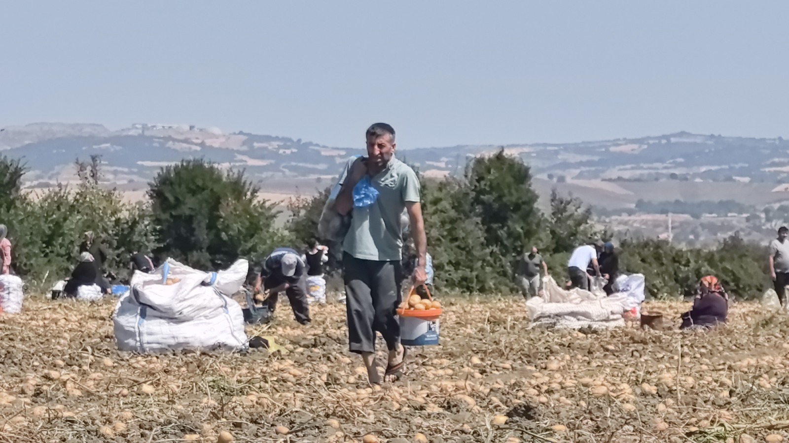 Maliyetler karşısında alınan duyarlı karar