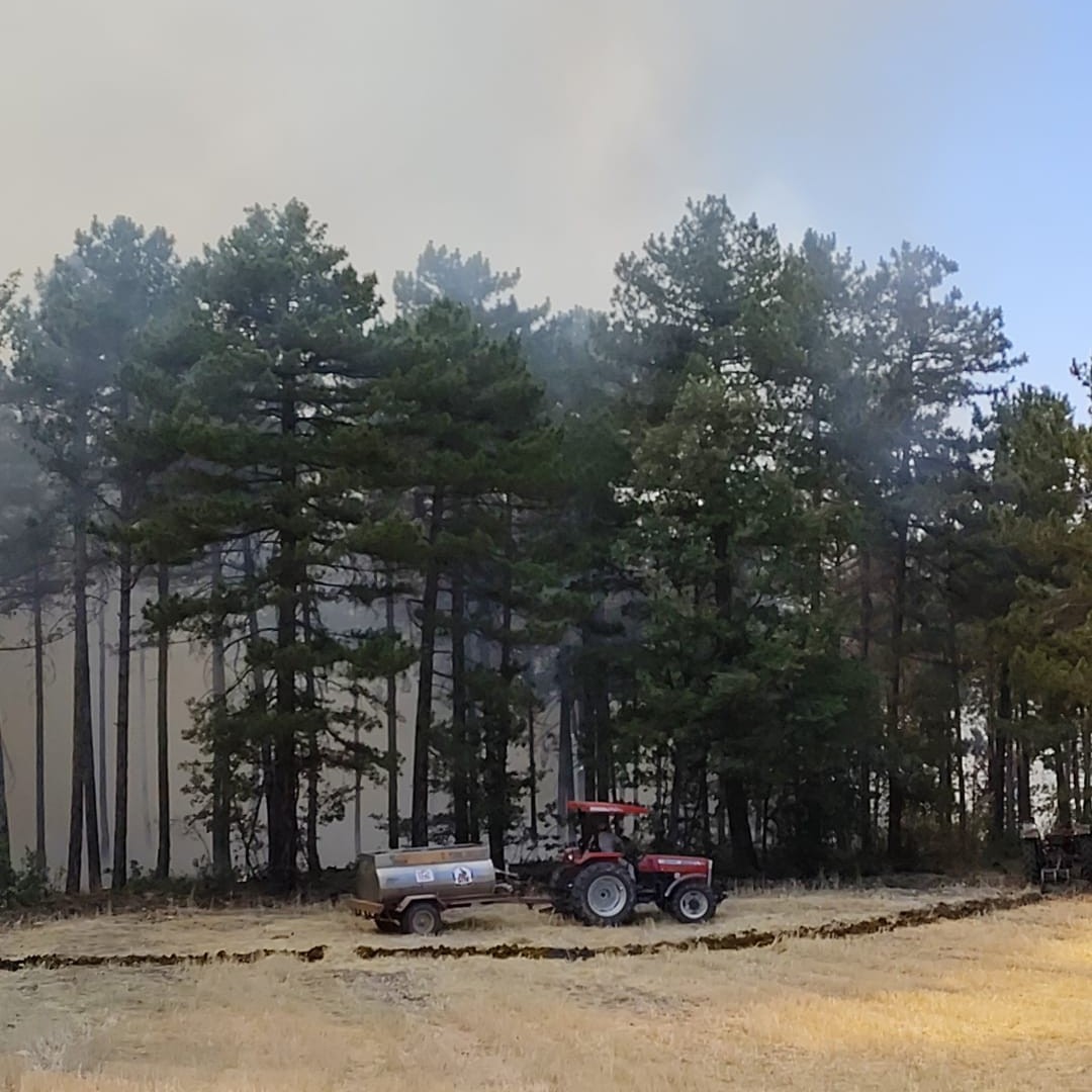 Rüzgarın etkisi yangını büyütüyor