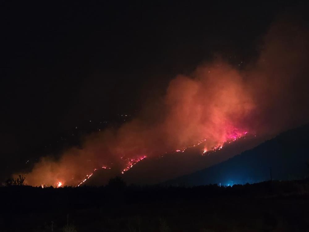 Denizli Orman Yangınıı 1