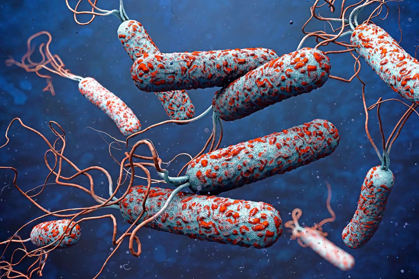 Yoksulluk ve çatışmalar salgını tetikliyor