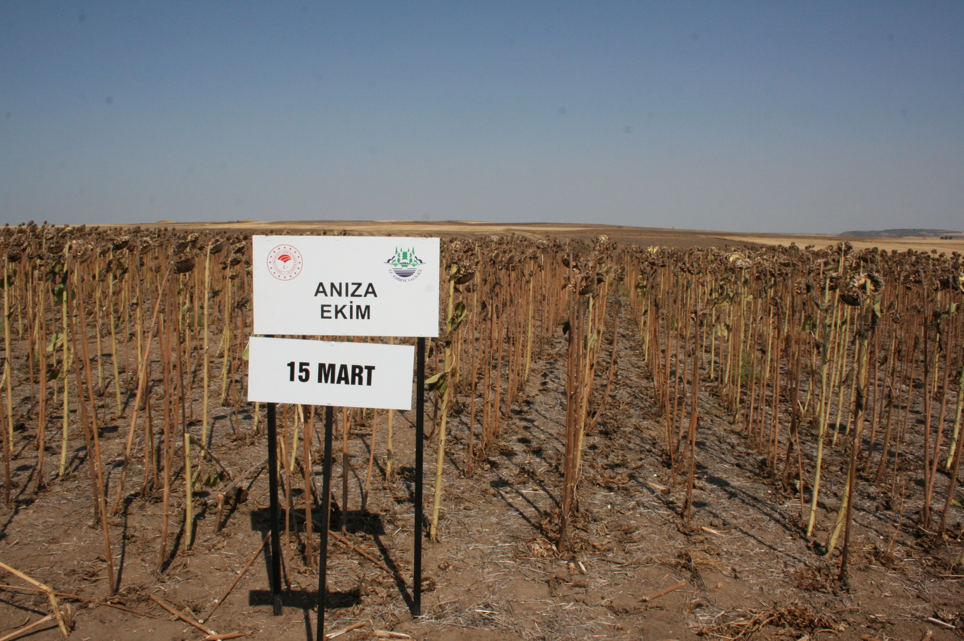 Edirne Tarım Işçilik