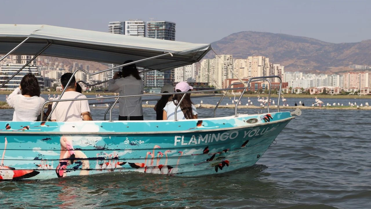 Kuşlardan deniz kaplumbağalarına uzanan zenginlik