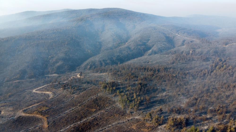 Gelibolu Yangın 1-1