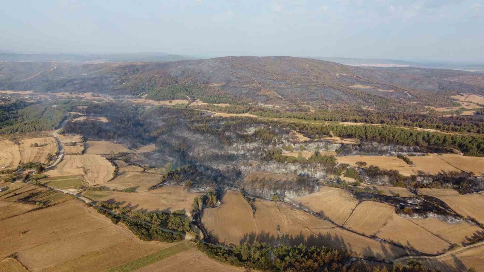 Gelibolu’da Çıkan Orman Yangını