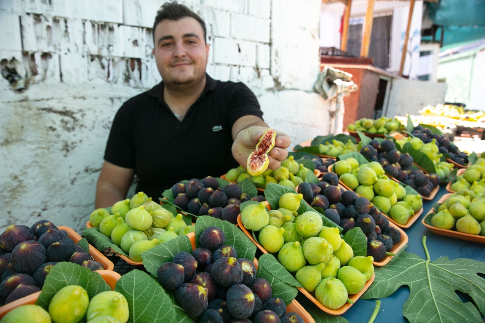 Festival coşkusu ve yarışmalar