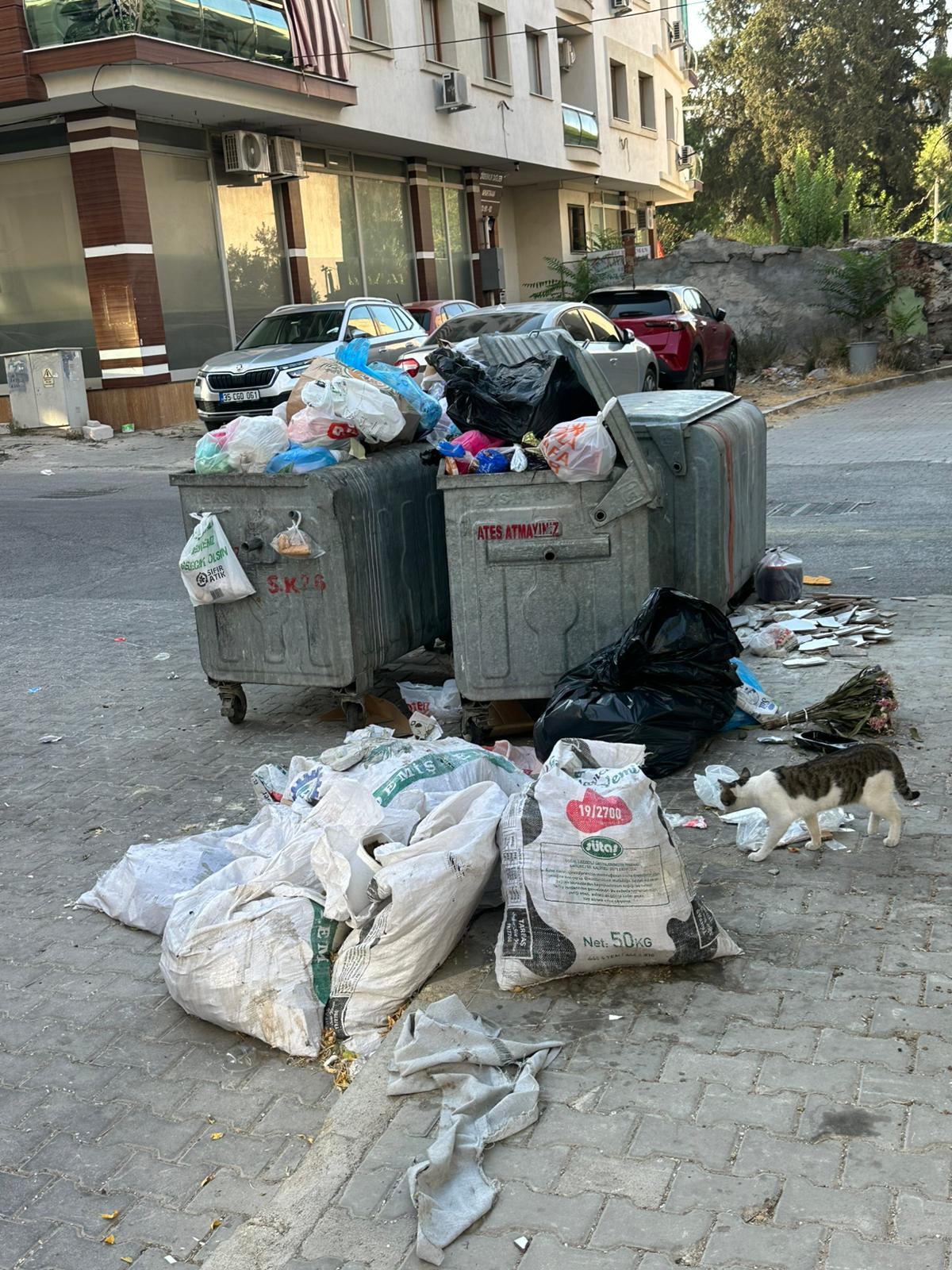 I M G 20250821 W A0005