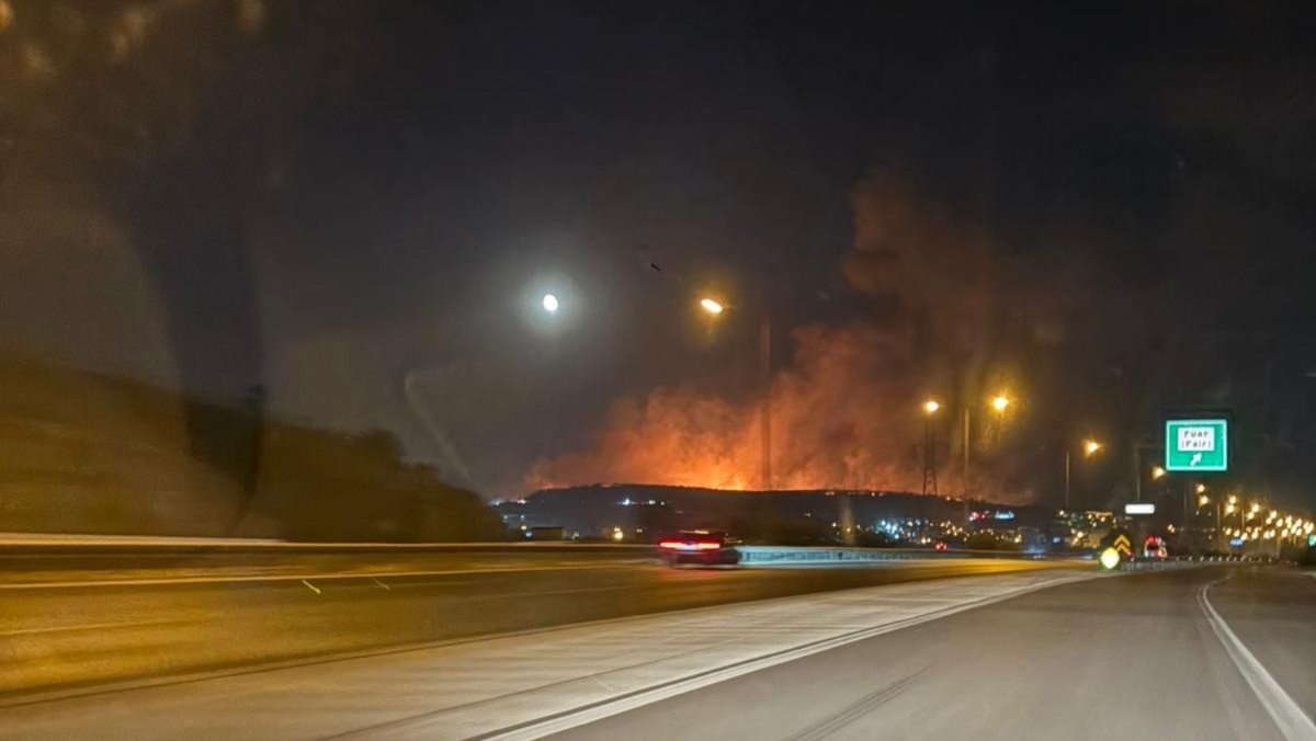 Orman yangını ve hukuki süreç