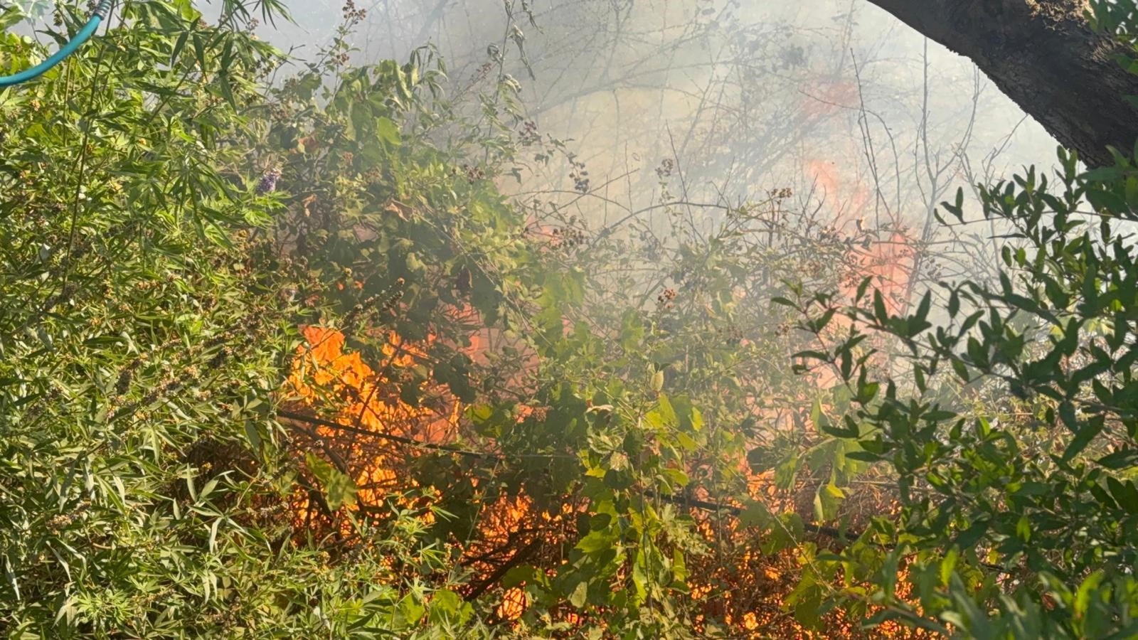 Büyük tehlike atlatan yangın