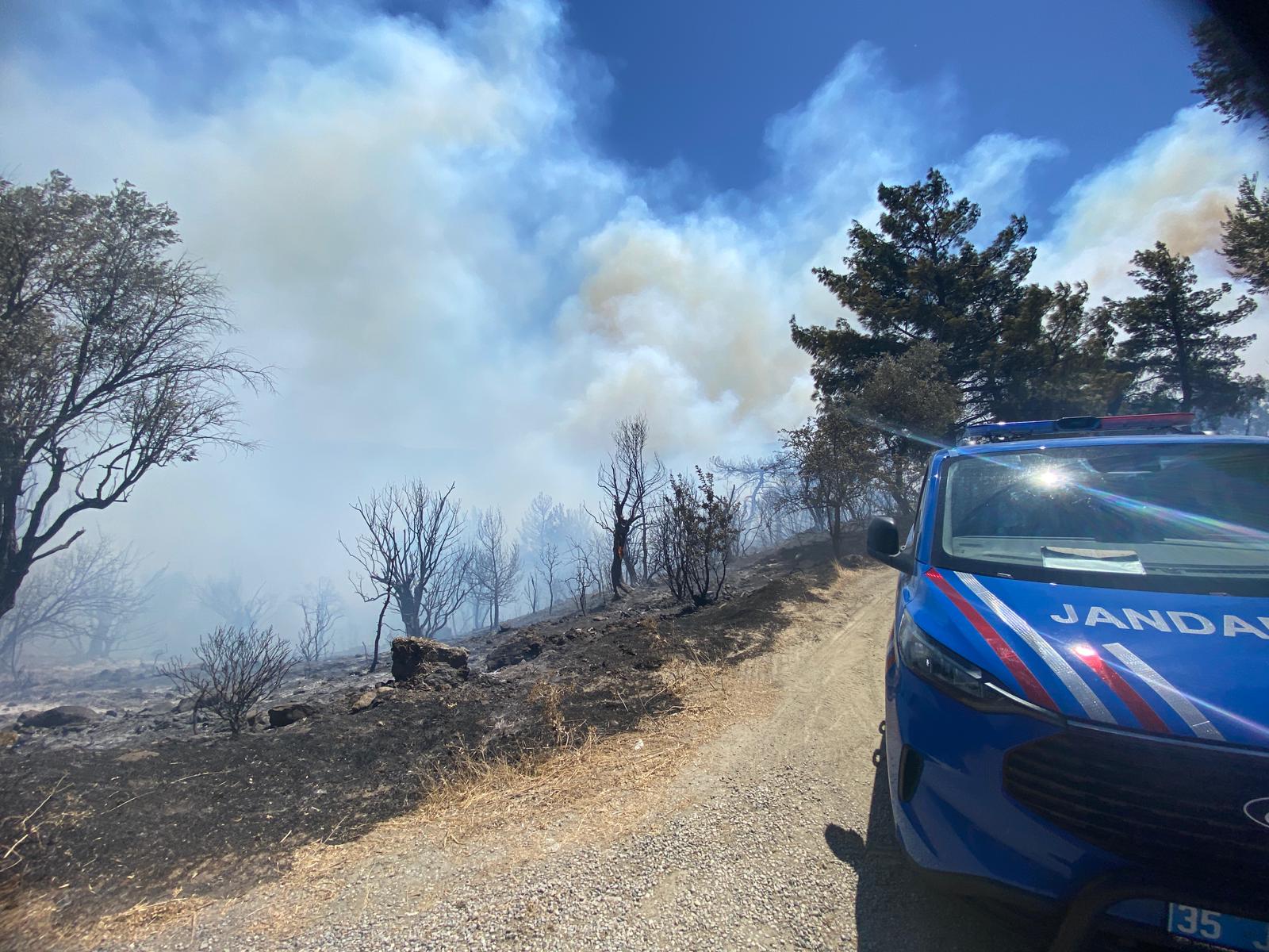Seferihisar'da yangın alarmı