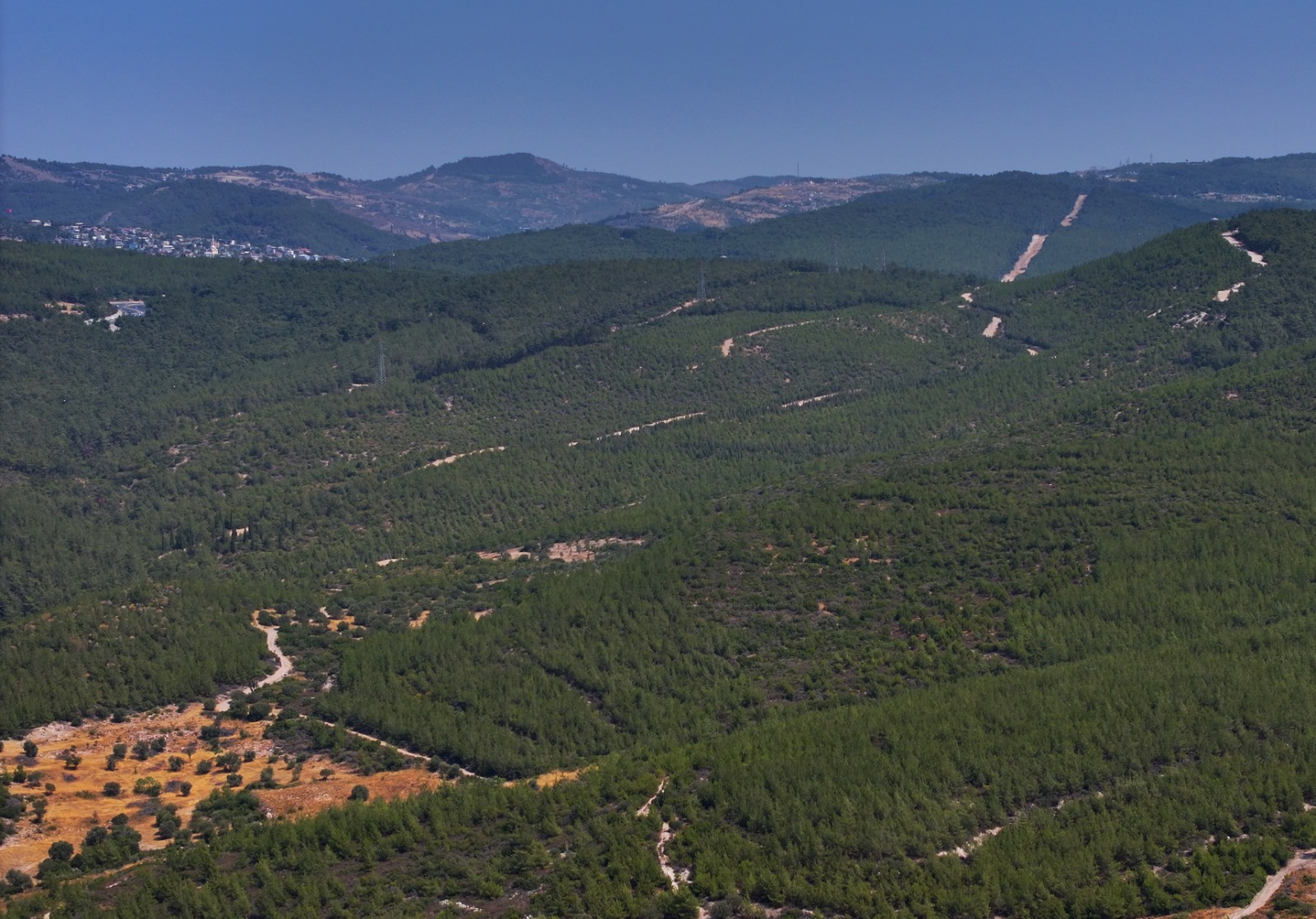 "Doğanın kendini yenileme gücüne güvenmeliyiz"