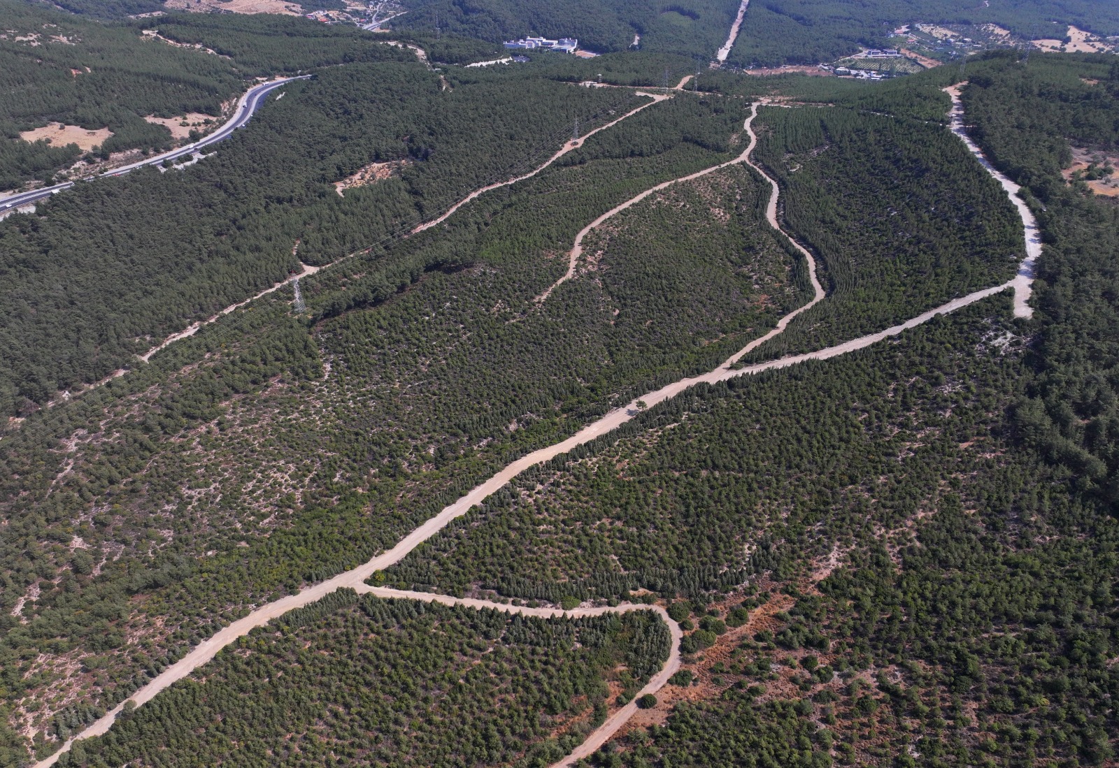 16 sene boyunca süren yoğun çabalar filiz verdi