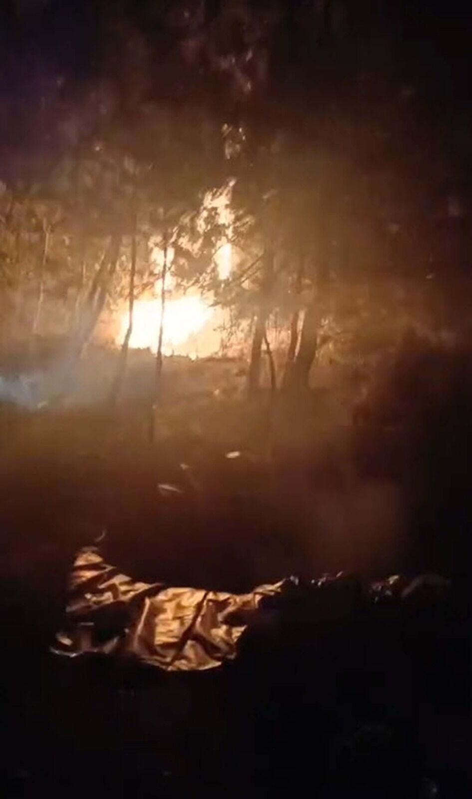 Geniş çapta ormanlık bölge yangından etkilendi