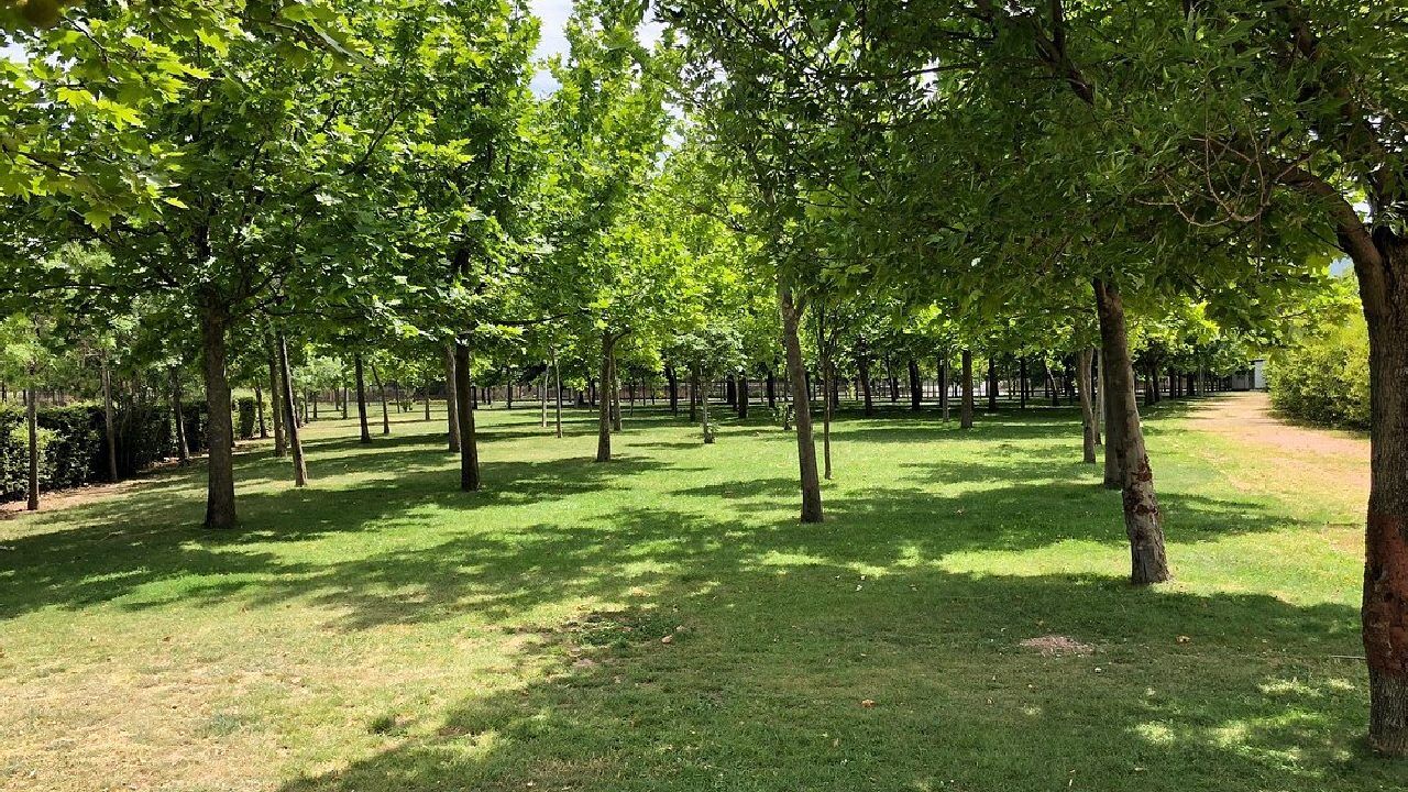 İzmir’de Piknik Ve Yürüyüş Için Gözde Nokta En Güzel Günbatımı Buradan Izleniyor (2)