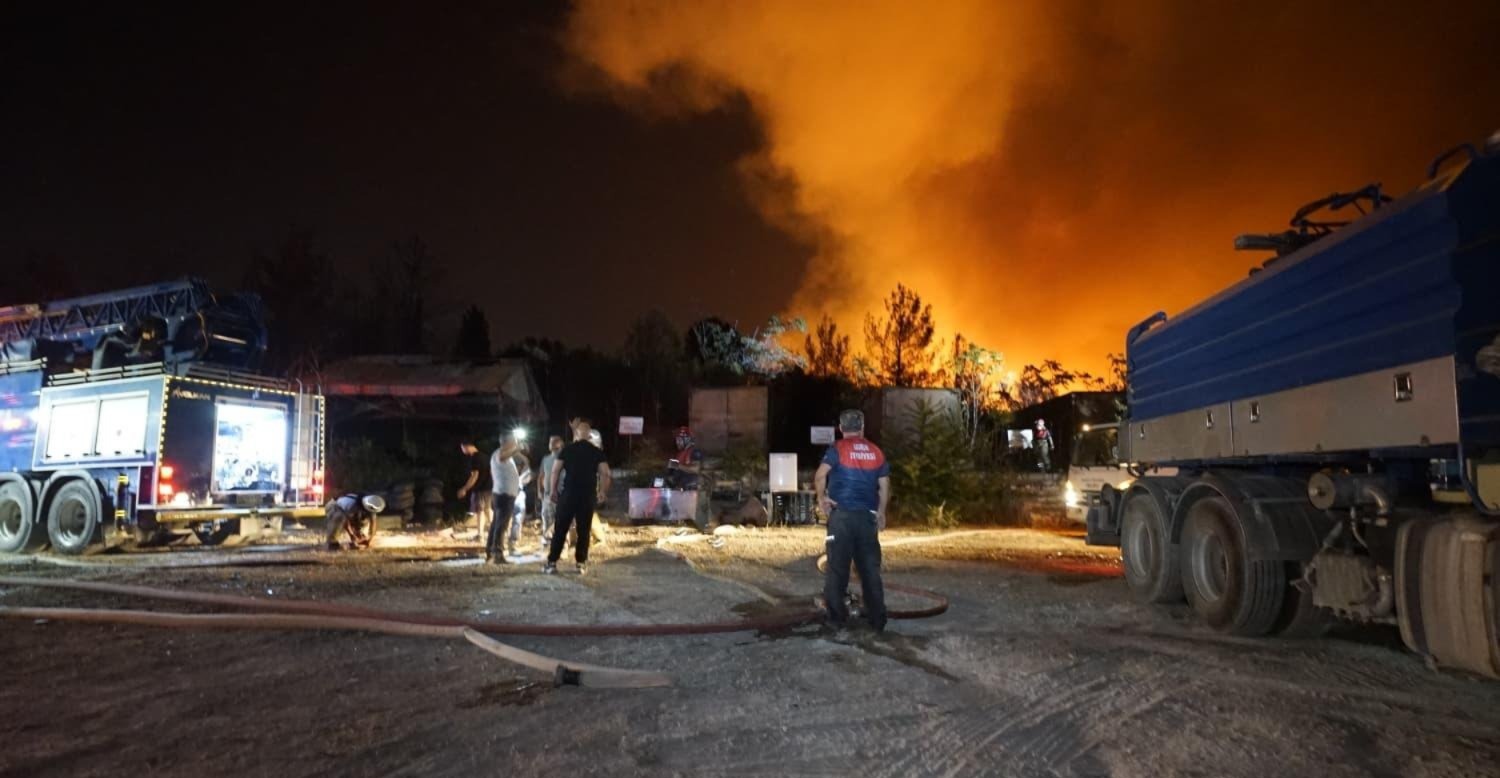 Rüzgarın etkisiyle ilerleyen alevler kontrol altına alınmaya çalışılıyor