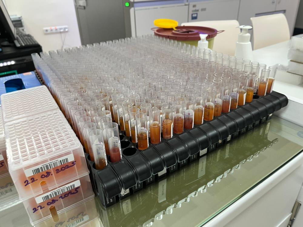 İzmir’in 2024 verileri dikkat çekti