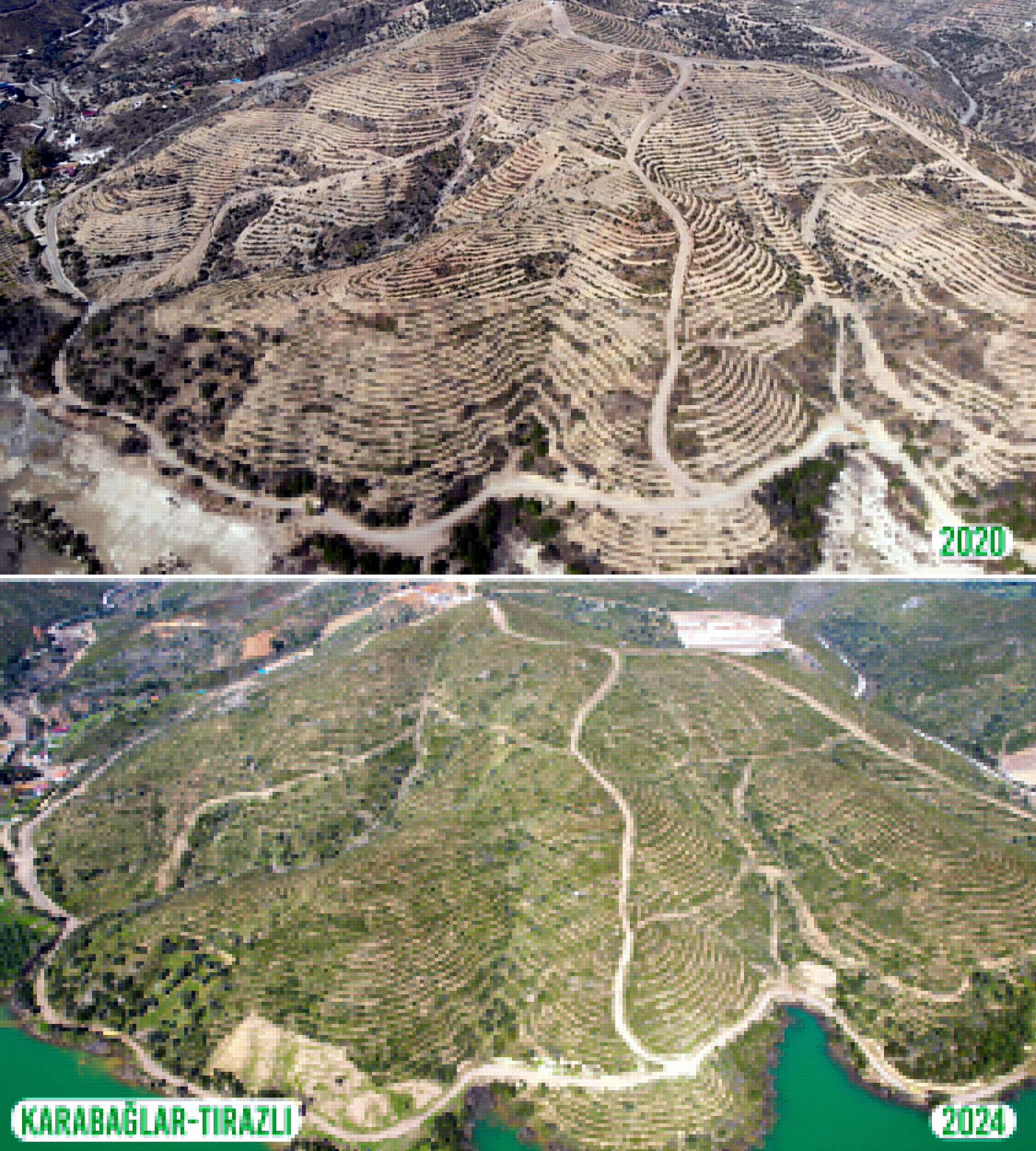 Karabağlar Ilçesinde Tırazlı Mahallesi