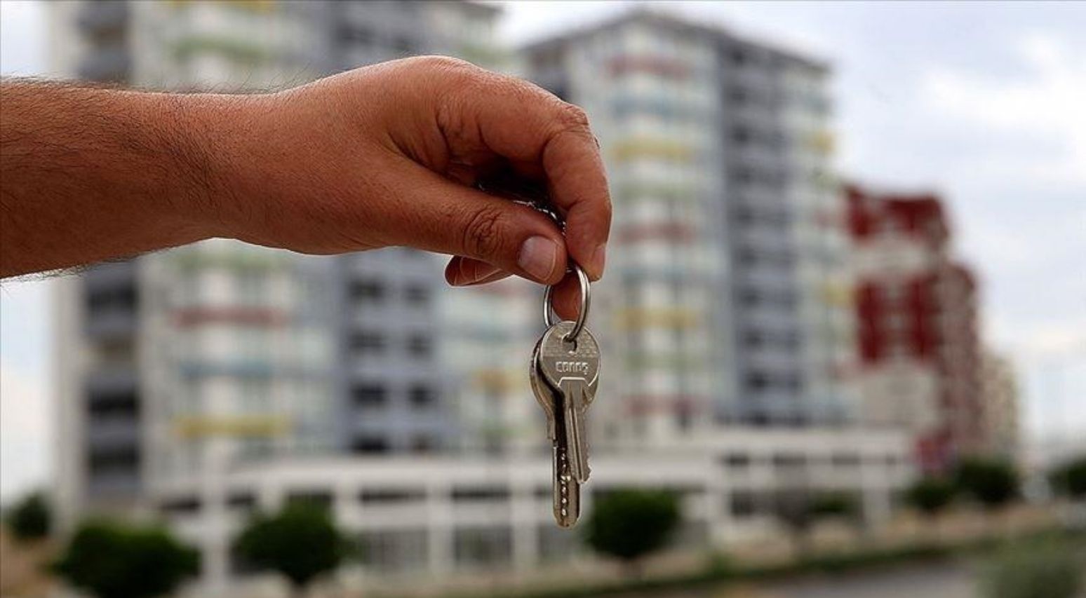 Gıda ve kira fiyatları