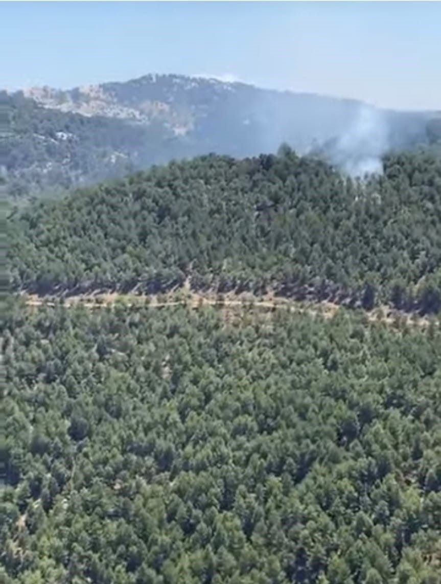 Kırsal Karagözler Mahallesi Sınırlarında Bulunan Ormanlık Alanda Yangın Çıktı.
