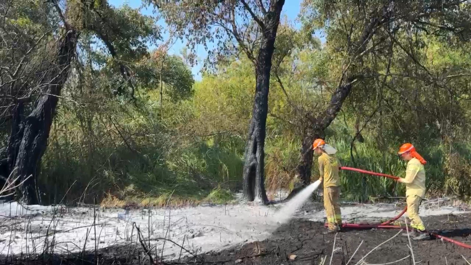 Kahramanlar halk tarafından uğurlandı