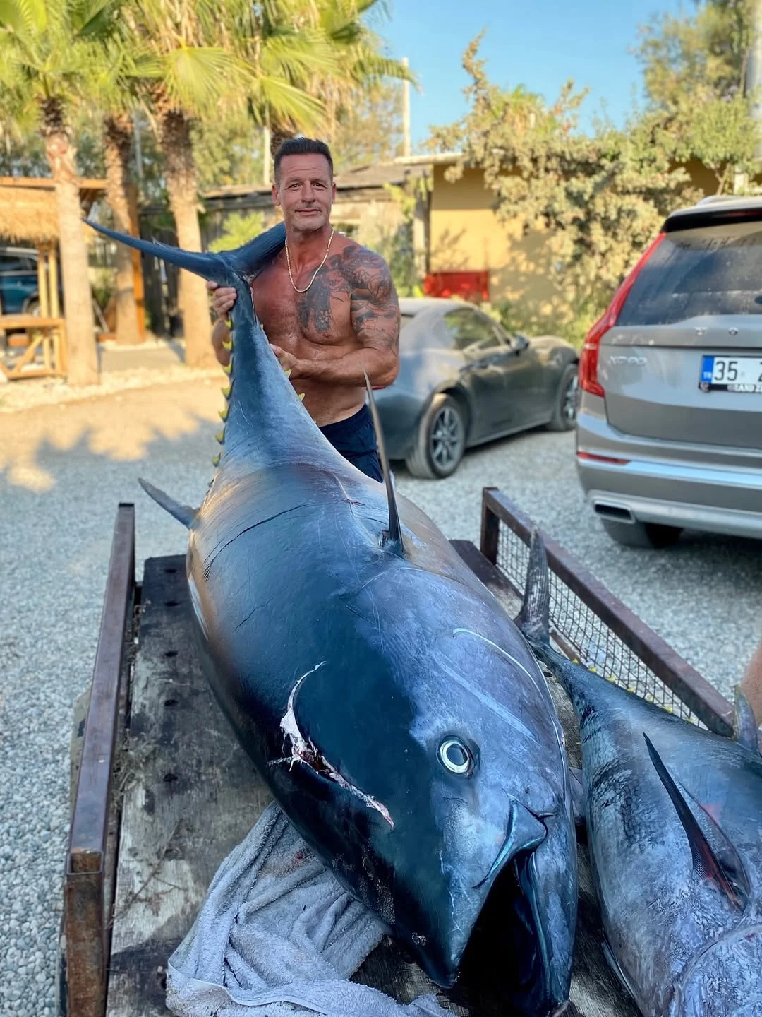 250 kiloluk dev orkinos