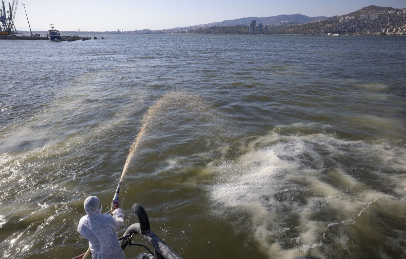 Alg Patlaması ne ifade ediyor?