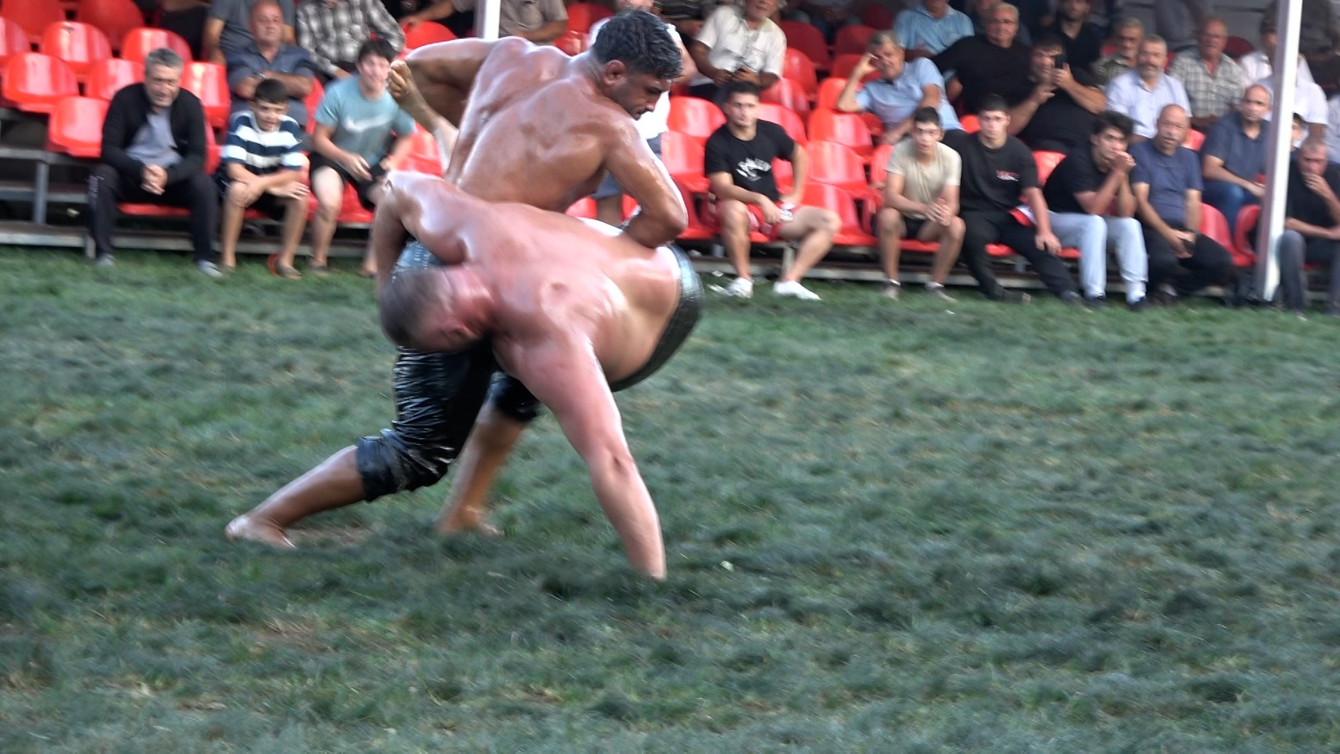 Şile Yağlı Güreş