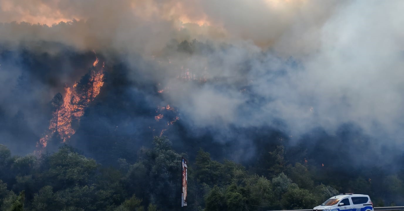 Bolu Mengen'de orman yangını