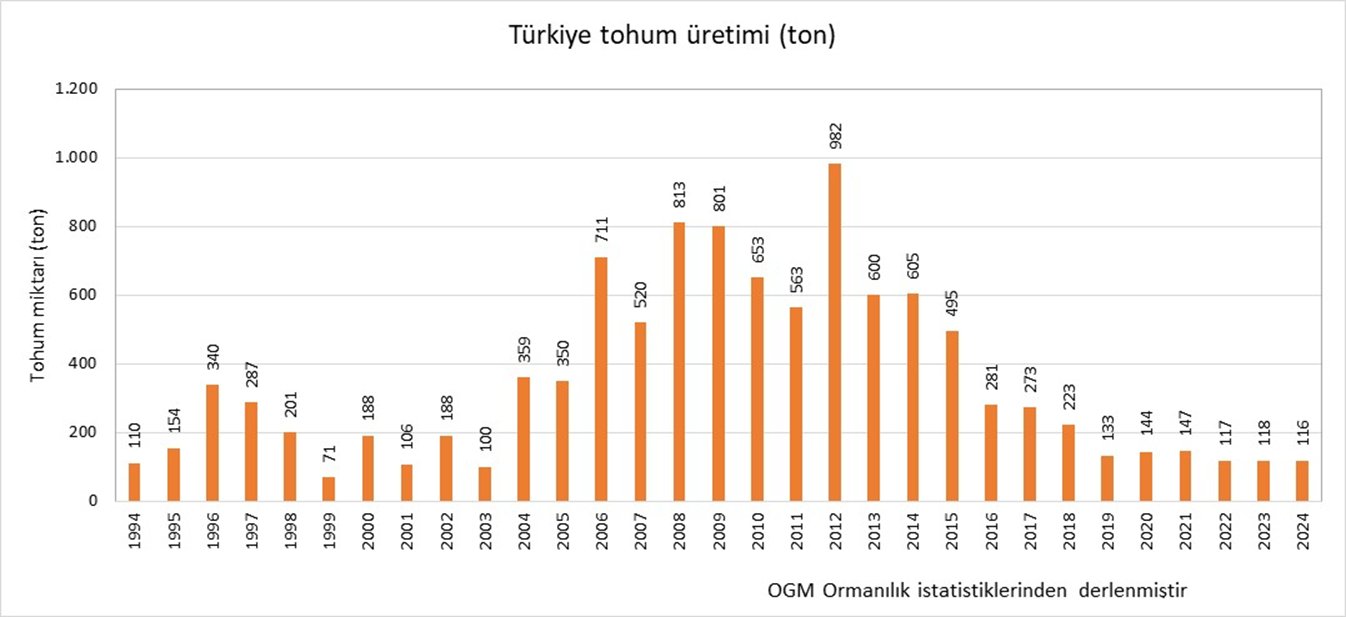 OGM'nin tokum üretimi azalıyor