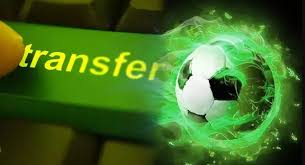 Transferler-1