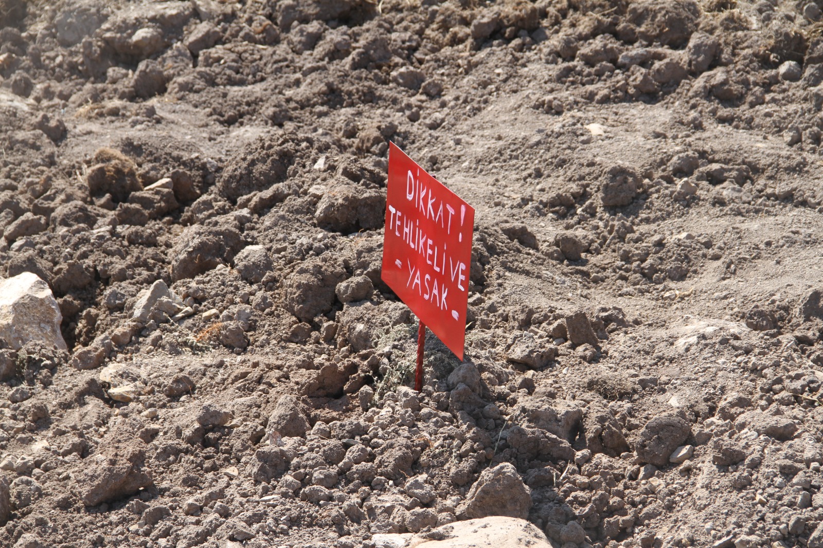 "Şifa" arayan çiftin dramatik sonu