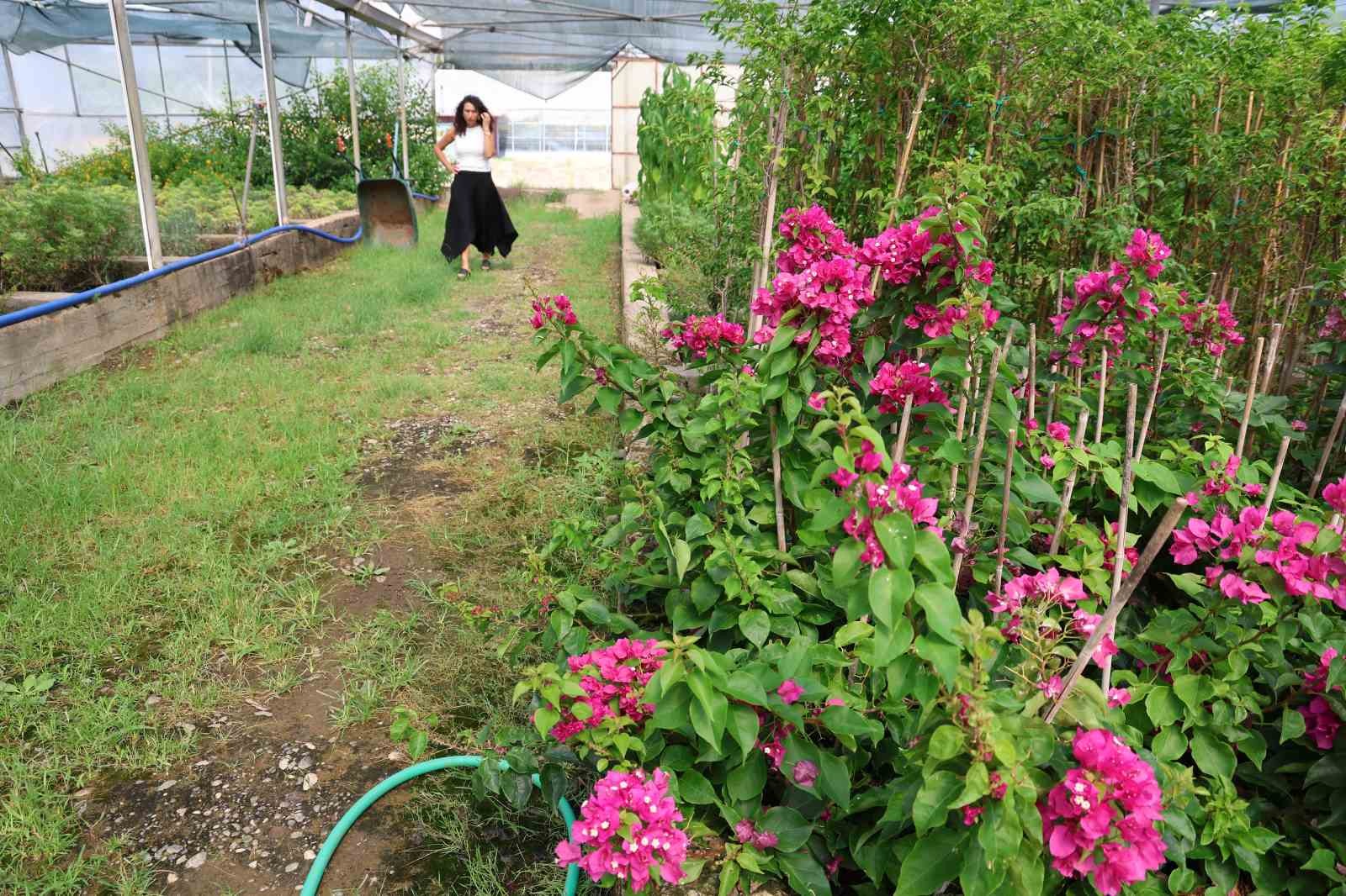 Yanan Sahaların Fidanları Hazır 1