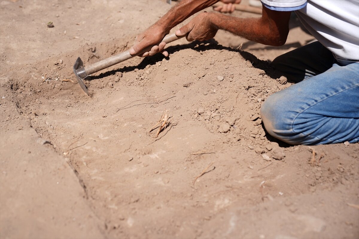 İzmir Smyrna Höyüğü-3