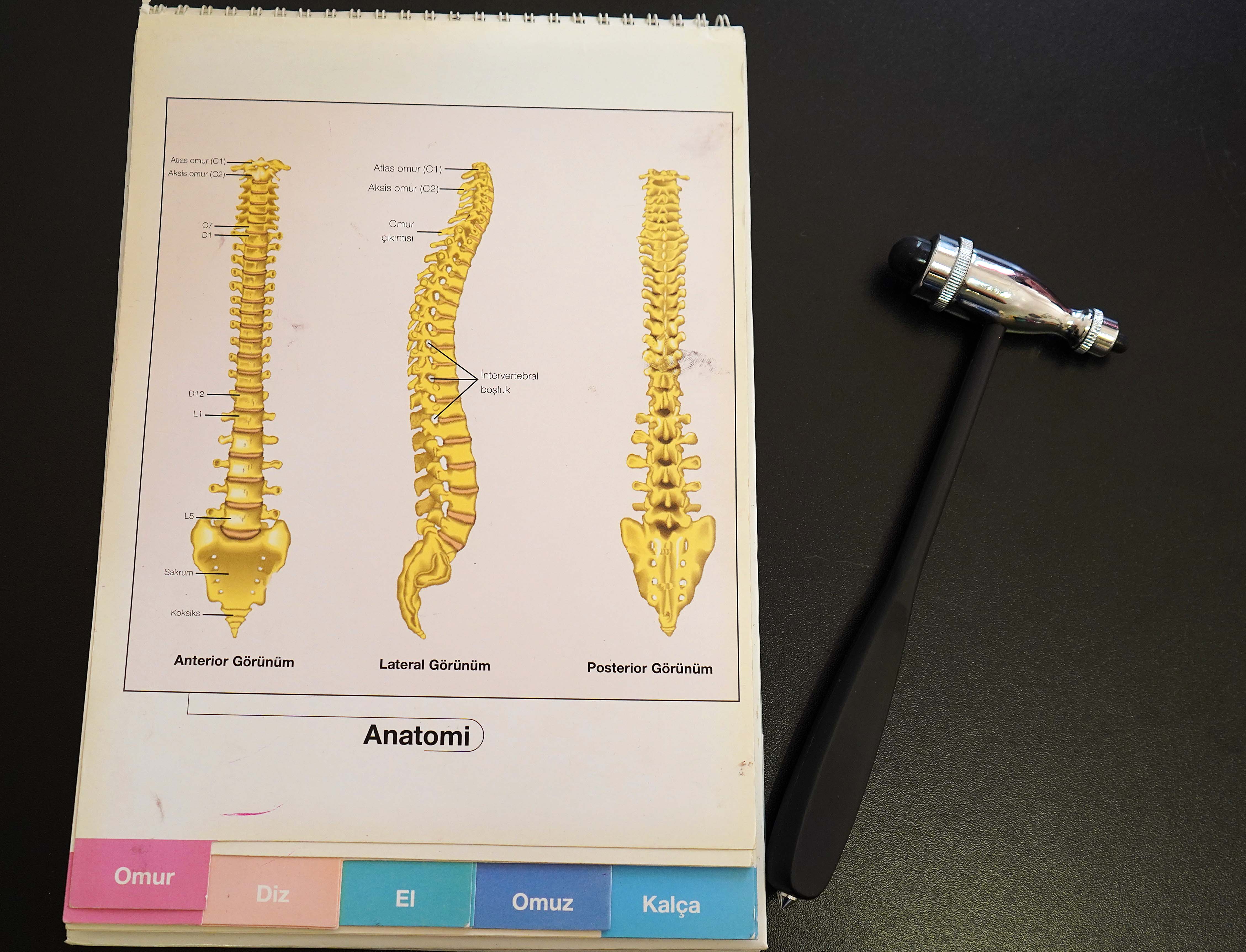 A G I R O K U L C A N T A L A R I S K O L Y O Z U T E T I K L I Y O R 916724 272407