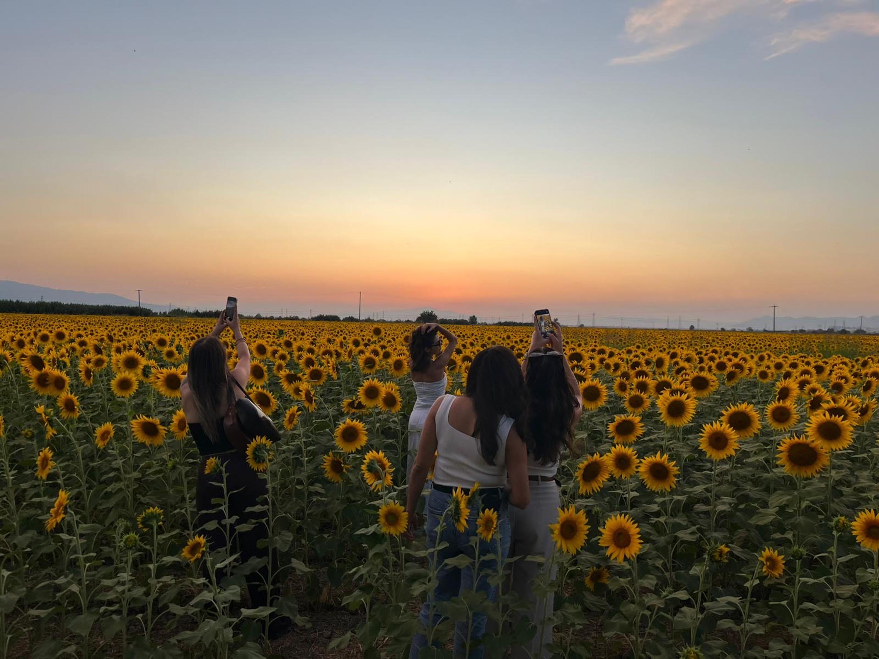 A Y D I N D A A Y C I C E G I T A R L A L A R I I L G I O D A G I O 915353 271963