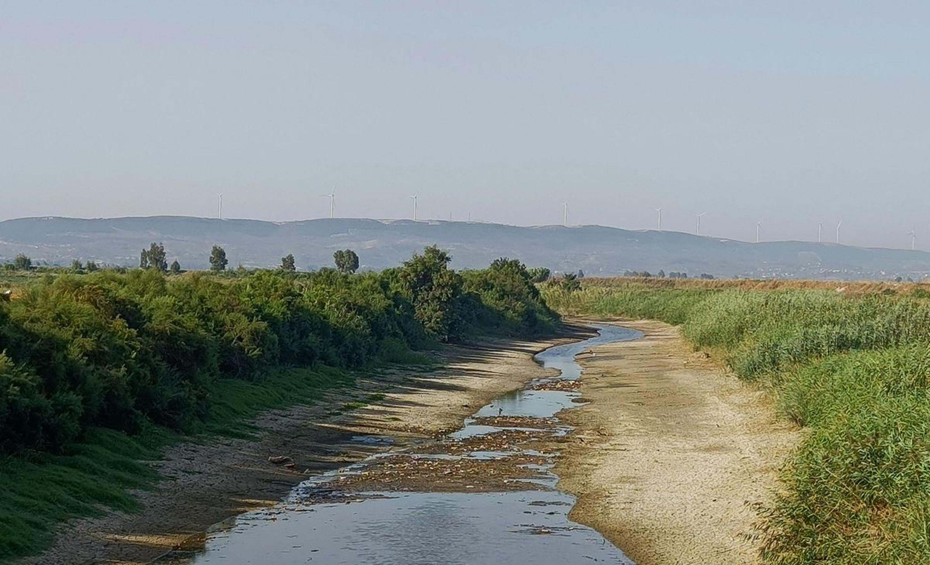 A Y D I N D A K I T A S K O P R U D E T E M I Z L I K S I R A S I N D 893812 265473