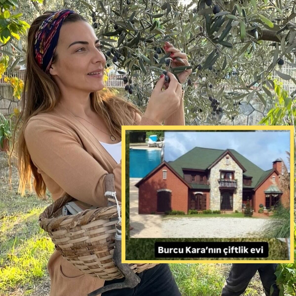 Aşk-ı Memnu dizisinin çiftliği