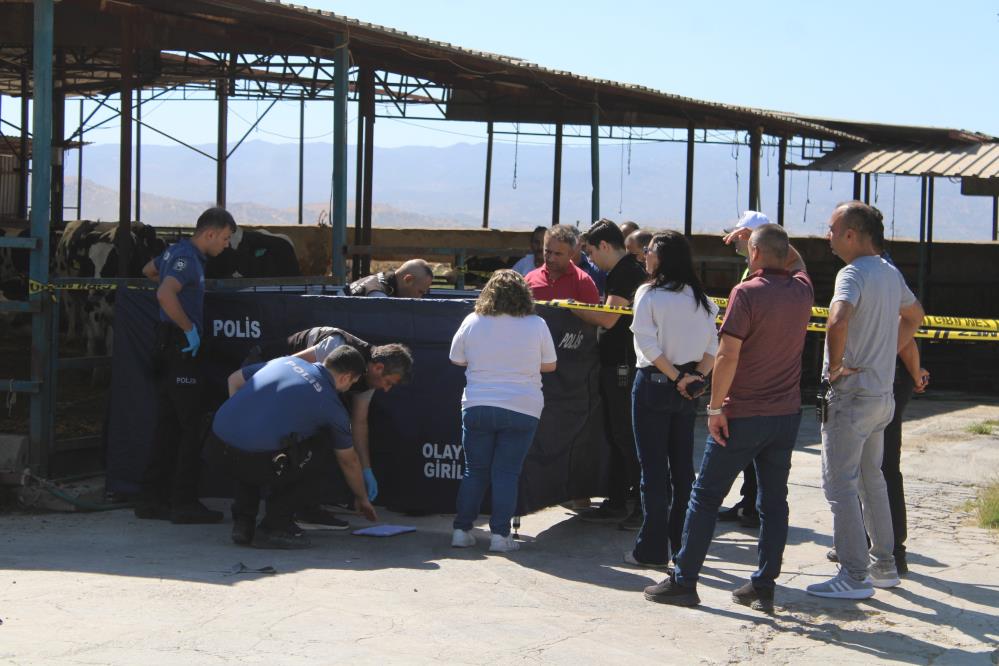 Minik Ali kamyonun önünde oynuyordu