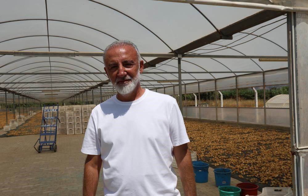 Düşük rekolteye rağmen fiyatlar düşüyor