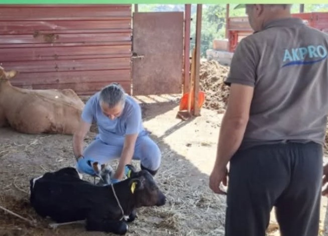 Üreticilere yönelik koruyucu tedbirler açıklandı