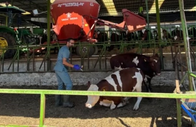 Biyogüvenlik önlemleri hastalıkla mücadelede kilit rol oynuyor