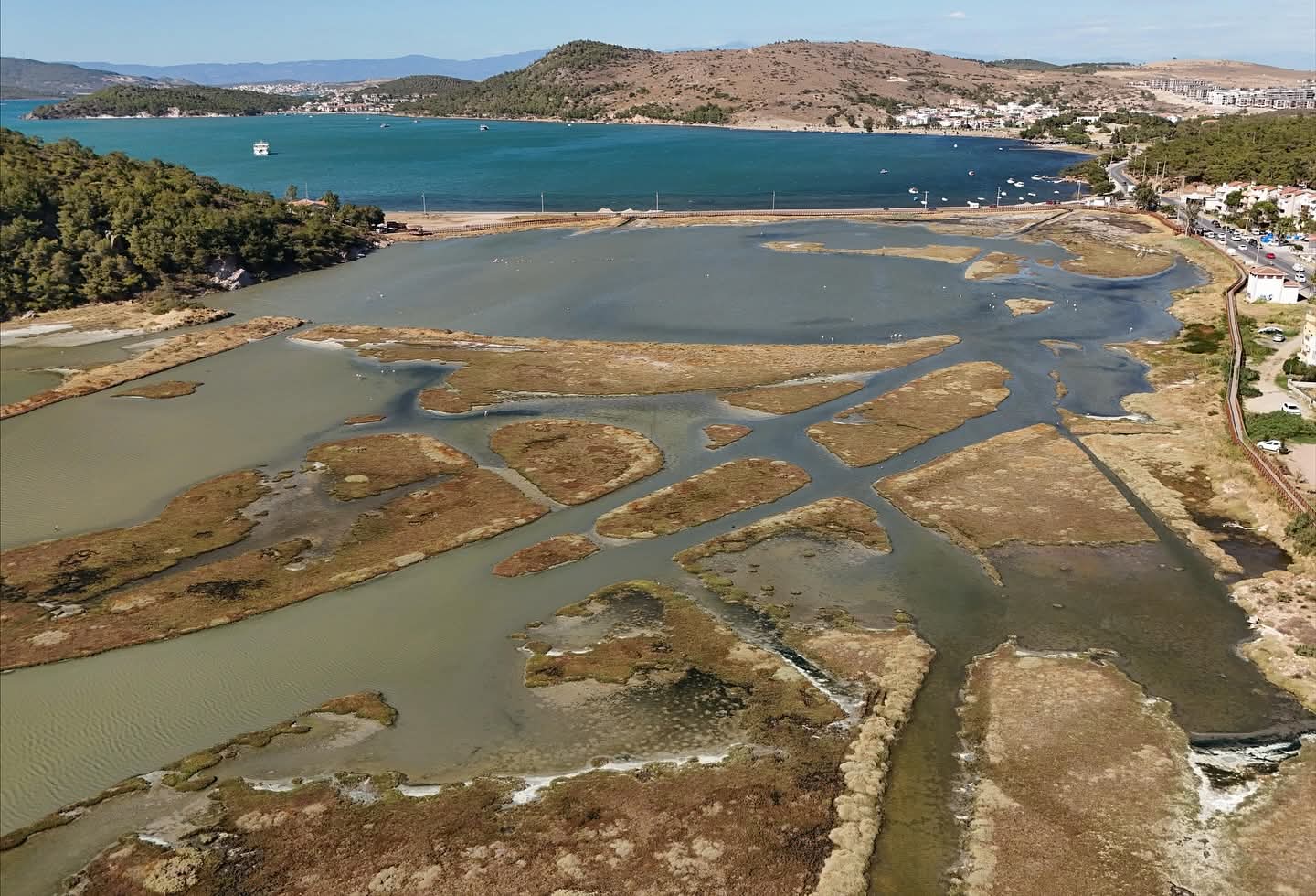 Ayvalık’ta Dünya Temizlik Günü’nde Sulak Alan Temizliği 1