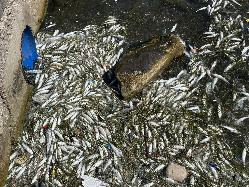 Narlıdere Arıtma Tesisi şüphesi