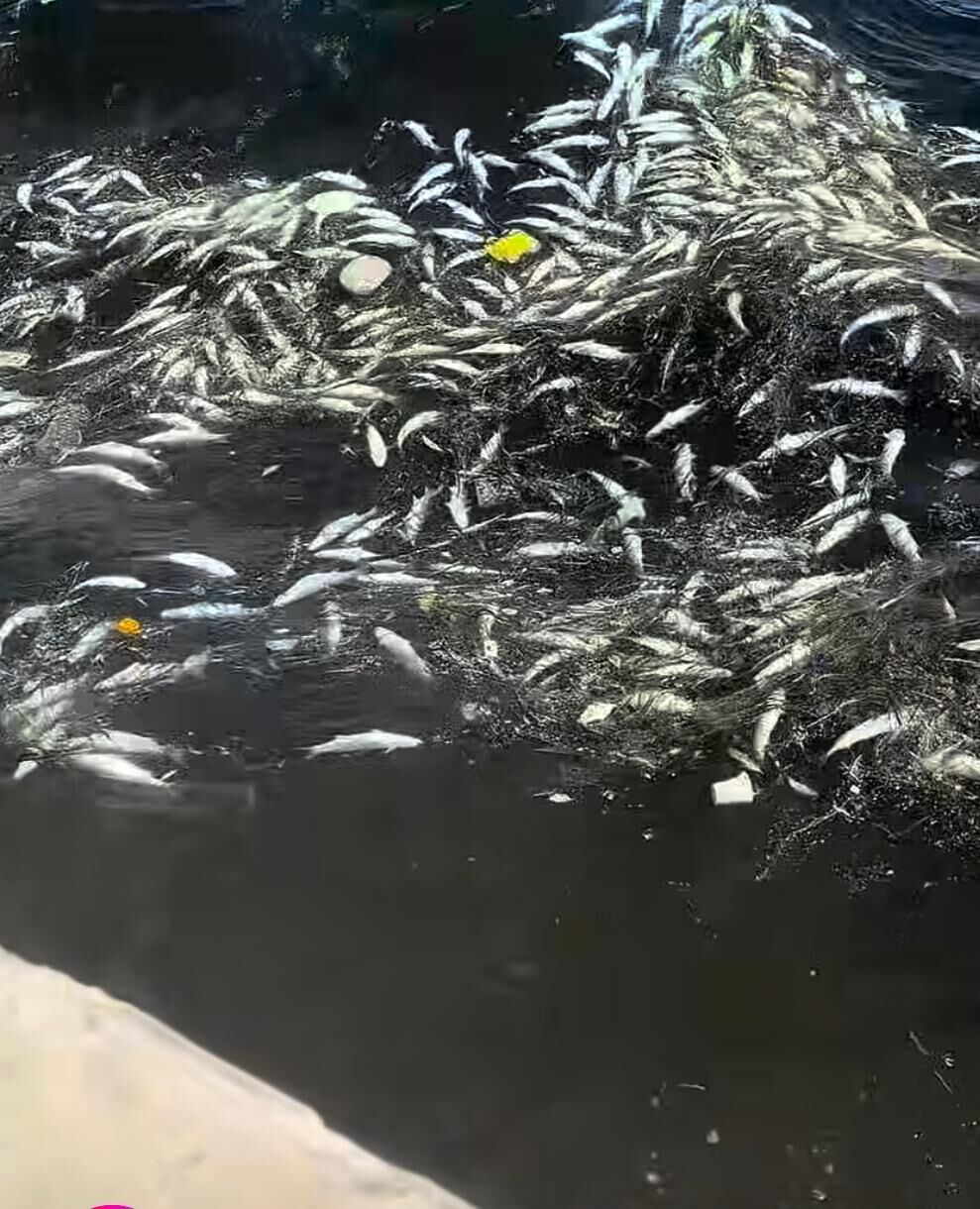 “Uyarılar dikkate alınmadı”