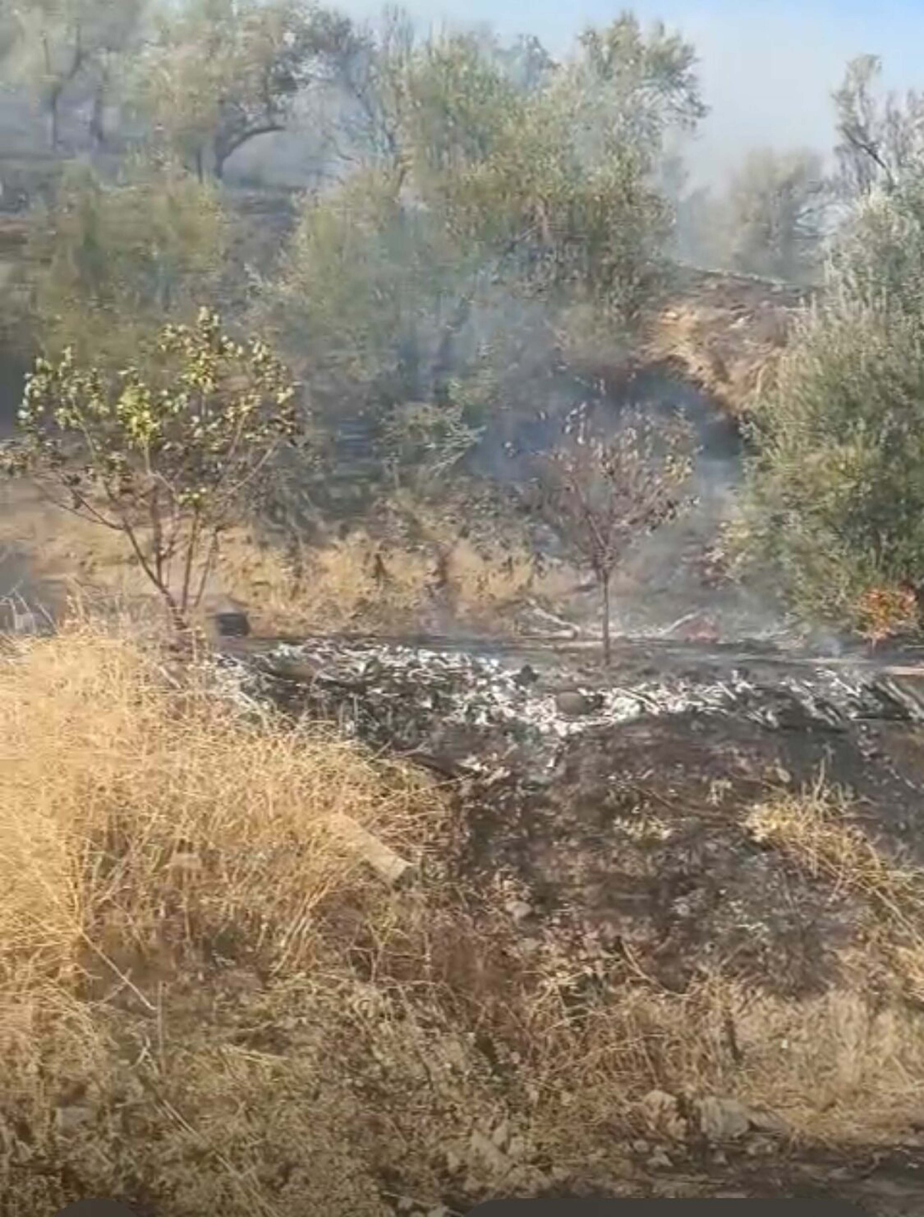 Balıkesir Yangın 5 Saat