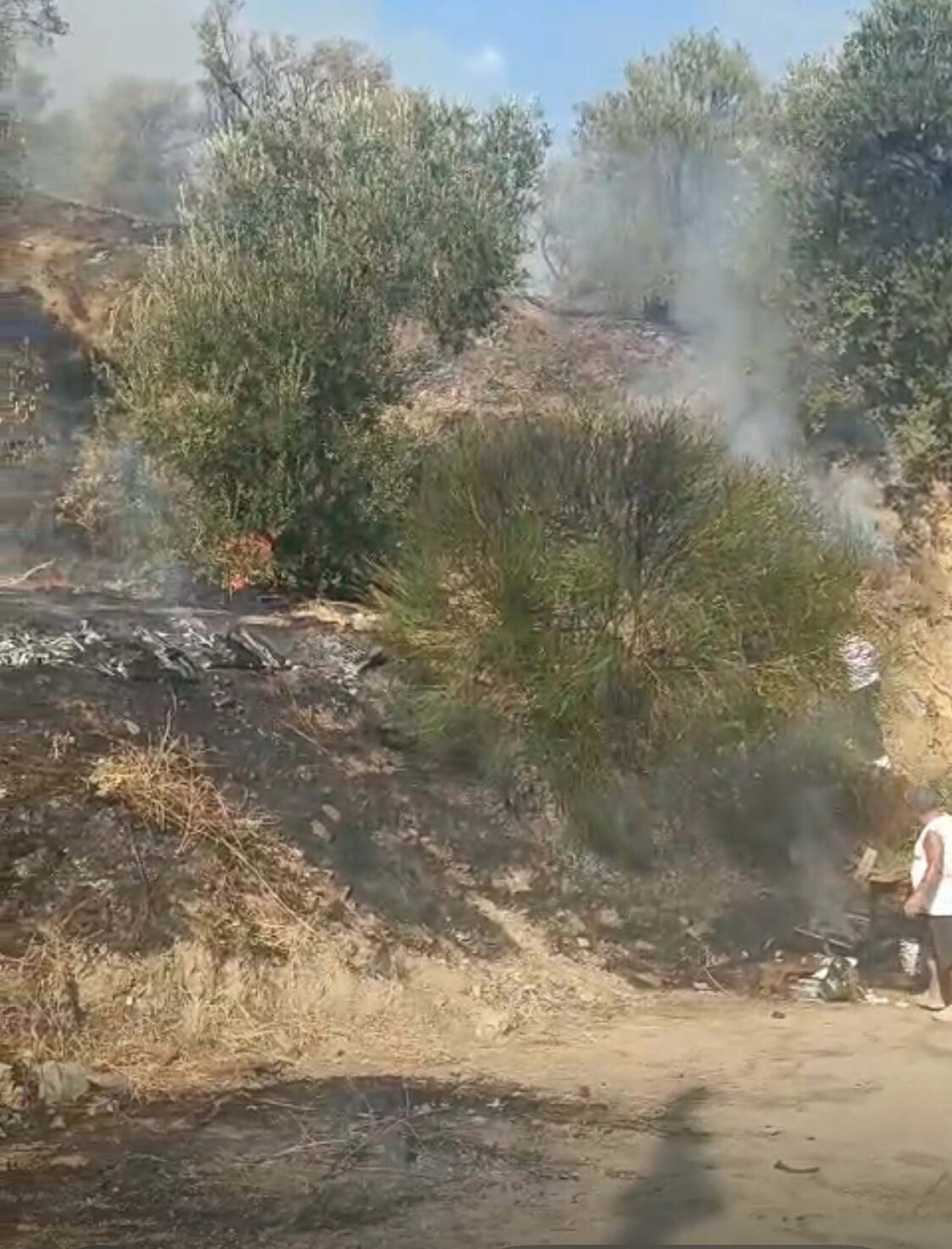 Balıkesir Yangın-8